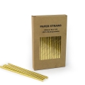 Pineapple Paper Straws 100pcs per box