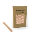 Foil Iridescent Paper Straws 100pcs per box
